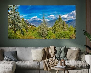 Das Arboretum des Parco San Grato mit Blick auf Lugano und den See, Carona Lugano, Tessin Ticino, Sc