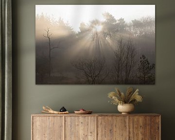 Sanftes Winterlicht bei Sonnenaufgang