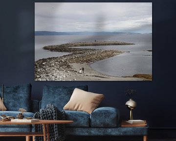 Die Felsenschlange von Emmelot Linssen