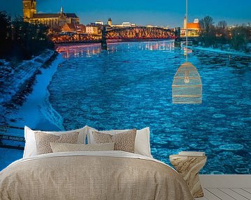 Maagdenburg en de Elbe in de winter