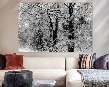 Bones of light IV by Sacred by Wendy – fine art fotografie