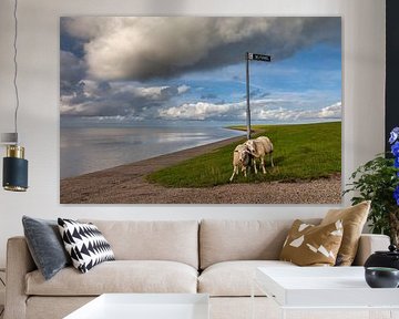 Niederlande, Ameland. Zwei Schafe, die an einer Stange hängen. von Frans Lemmens