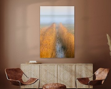 Friesland. Vegetation along stream with seawall in background. by Frans Lemmens