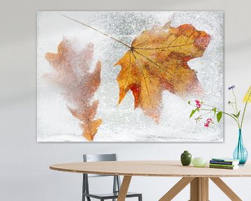 Frozen (autumn leaves frozen in ice)