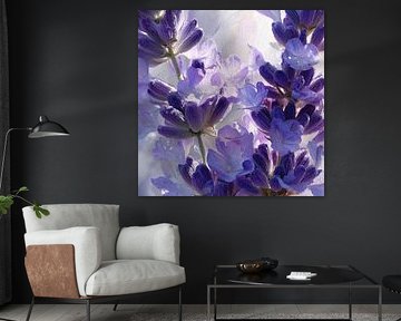 Purple scent of lavender