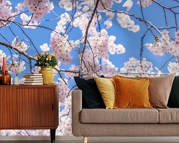 Sakura, Japanese Cherry Blossom by WvH