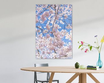Sakura, Japanse Bloesem von Studio W&W
