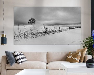 Lonely tree in the snow by Friedhelm Peters