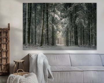 Die Stille des weißen Waldes von Bas Handels