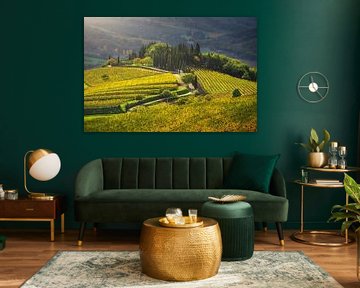 Radda in Chianti landscape, vineyards in autumn. Tuscany by Stefano Orazzini