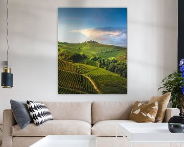 Vineyards on the Langhe hills in the morning, Piedmont by Stefano Orazzini