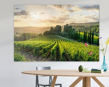 Vineyards at sunset and Casale Marittimo village, Tuscany by Stefano Orazzini