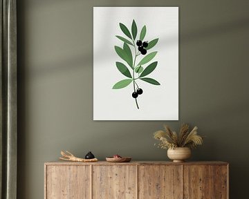 Berry Branch by Giandra Safaraz