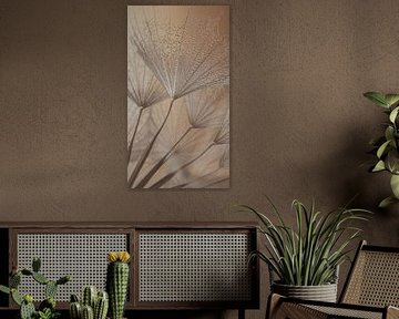Gelassene natürliche Abstraktion: Vom Flaum getragene Tropfen von Marjolijn van den Berg