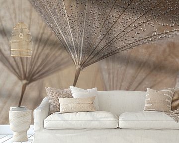 Serene natural abstraction: Drops carried by the fluff by Marjolijn van den Berg