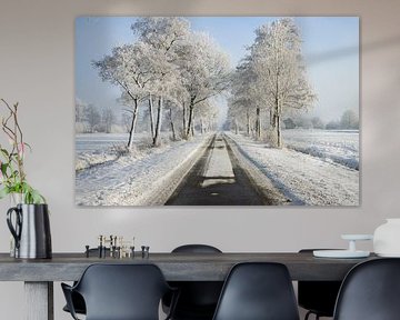 De Witte Laan – Een Oneindig Winters Verhaal van Jan Willem Oldenbeuving