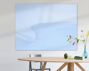 Sneeuwduinen vormen mooie abstracte vormen in het Nationaal Park Lauwersmeer. van Bas Meelker