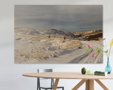 Ameland winter wonderland