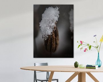 “Winter breathes in details.” by Photoartbyantoinnet