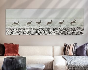 A doe buck runs through the snow.