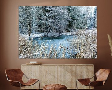 Winter am Weiher von Dieter Walther