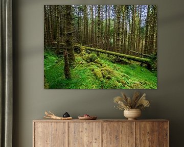 Enchanted mossy forest of Ballachulish beckons by Luc V. de Zeeuw