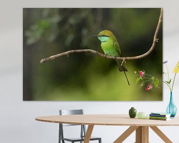 The Hunter's Focus: Kleine Groene Bijeneter in Detail