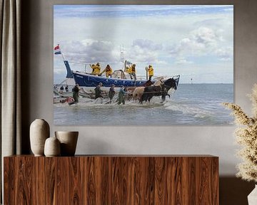 Horse rescue boat Ameland