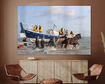 Horse rescue boat Ameland