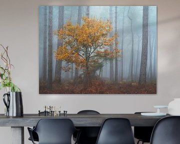 Tree in autumn colours in the Mastbos near Breda by Jos Pannekoek