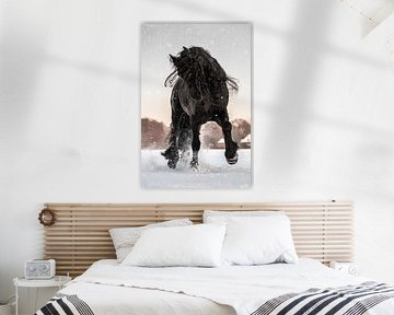 Beautiful Friesian horse in the snow