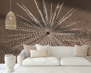 Tranquillity in warm colours: Natural close-up by Marjolijn van den Berg