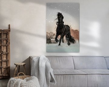 Powerful Friesian horse in the snow