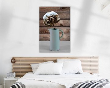 The cold and lonely bouquet | Hydrangea in a Milk Jug by RB-Photography