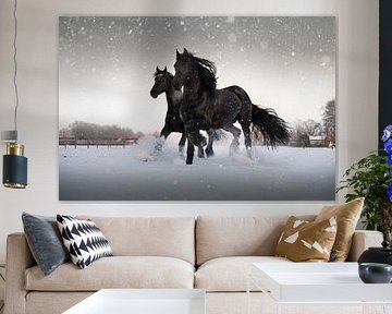 2 Friesian Horses in the snow