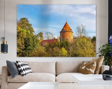 Castle and trees in the town of Plau am See by Rico Ködder