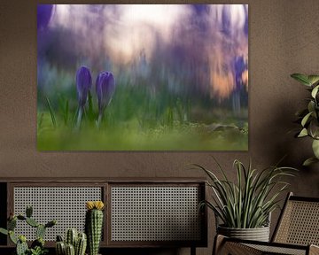 märchenhafte Frühlingsblüten im violetten Morgenlicht