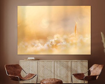 Minimalistisches atmosphärisches Bild von Haarmoos