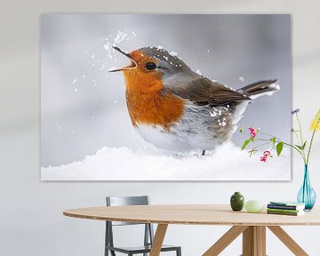 European robin (Erithacus rubecula)