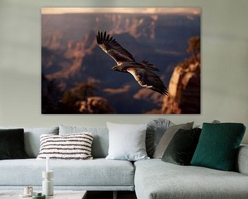 Golden eagle (Aquila chrysaetos)