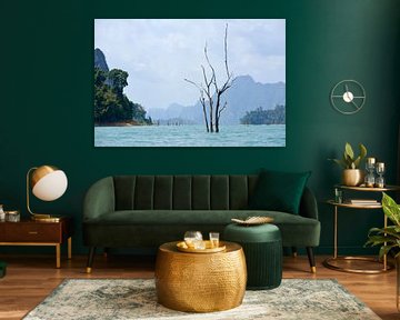 Dead trees in the emerald waters of Khao Sok National Park by Anjo Kan