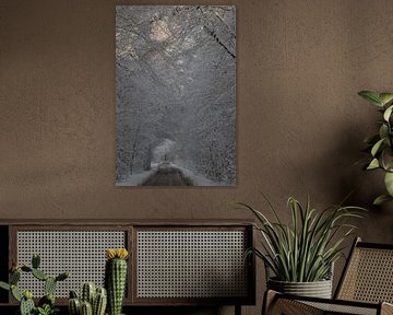 Winter, snow in the Wilgenhof of Beetsterzwaag Opsterland Friesland