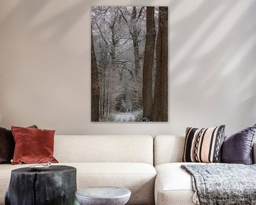 Winter, snow in the Wilgenhof of Beetsterzwaag Opsterland Friesland