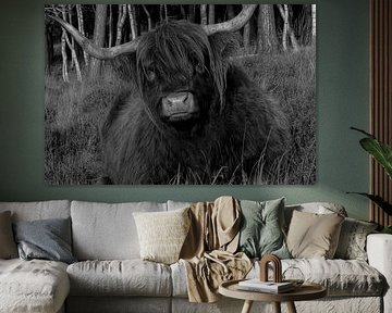 Scottish Highlander by Ragonda Mol