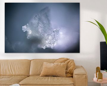 Fragile ice crystals in winter light by Nanda Bussers