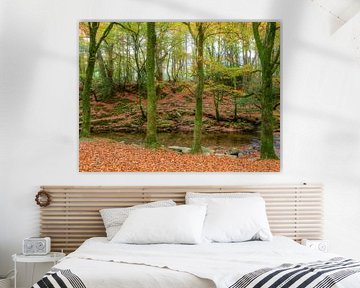 tullymore forest 3 by grossberger.photo