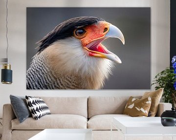 Crested caracara (Caracara plancus)