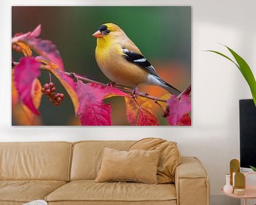 Aperçu de la chambre