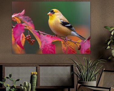 Aperçu de la chambre