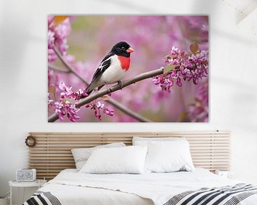 Rose-breasted pome cracker (Pheucticus ludovicianus)